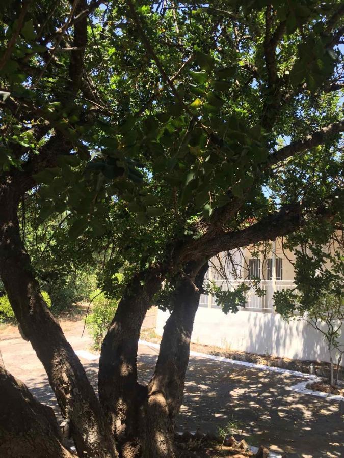 Αγρόκτημα Χελωναριά - Agroktima Chelonaria Hostel Храни Екстериор снимка