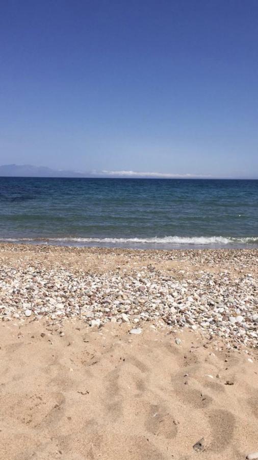 Αγρόκτημα Χελωναριά - Agroktima Chelonaria Hostel Храни Екстериор снимка