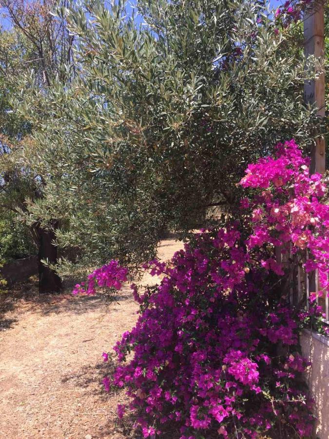 Αγρόκτημα Χελωναριά - Agroktima Chelonaria Hostel Храни Екстериор снимка
