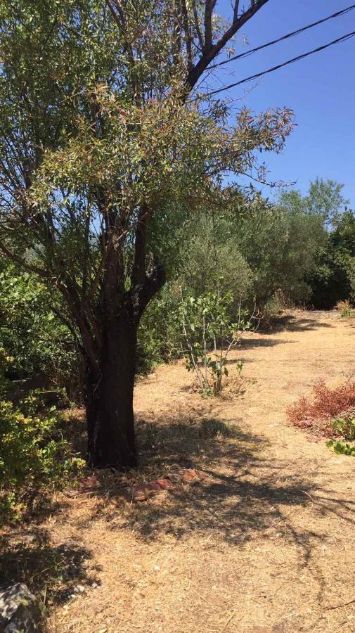 Αγρόκτημα Χελωναριά - Agroktima Chelonaria Hostel Храни Екстериор снимка